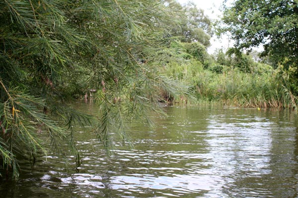 Dahmer Kanal Mecklenburgische Schweiz